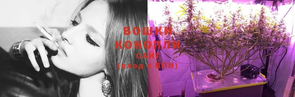 PSILOCYBIN Киреевск