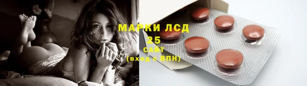 PSILOCYBIN Киреевск