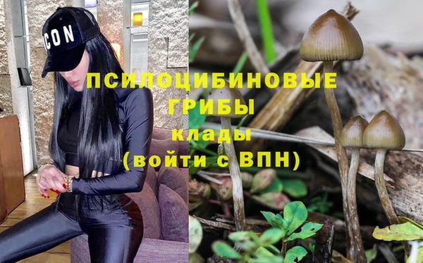 PSILOCYBIN Киреевск