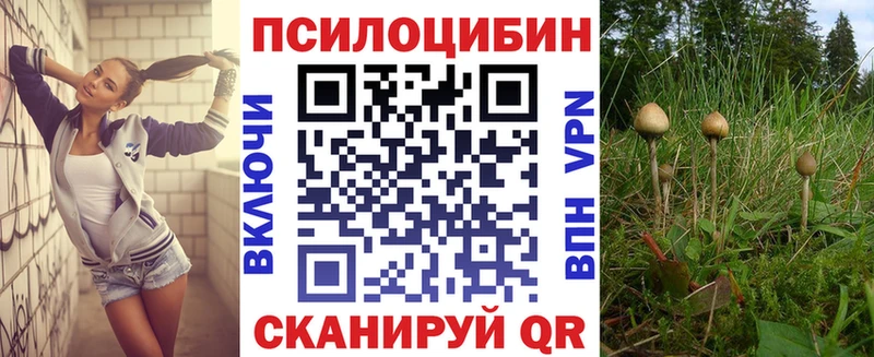 Купить  Усть-Джегута  Галлюциногенные грибы GOLDEN TEACHER 